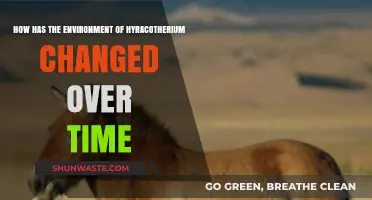 Hyracotherium's Habitat Evolution: Tracing Environmental Shifts Over Millennia