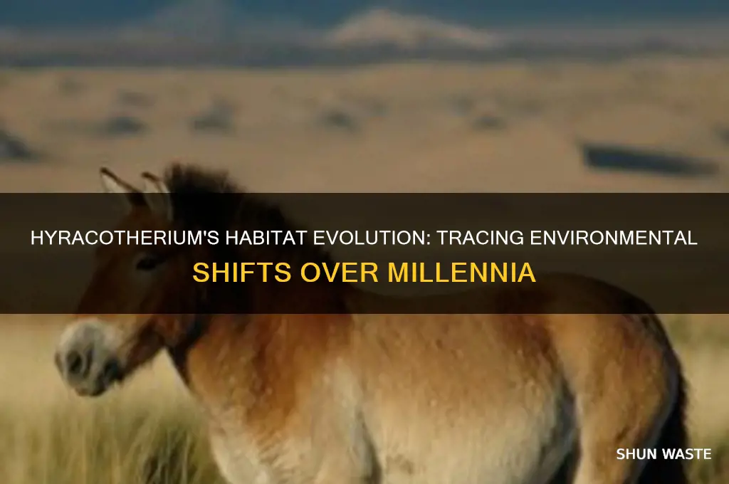 how has the environment of hyracotherium changed over time