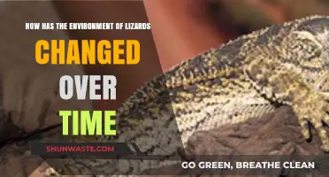 Shifting Habitats: The Evolving Environments of Lizards Through Time