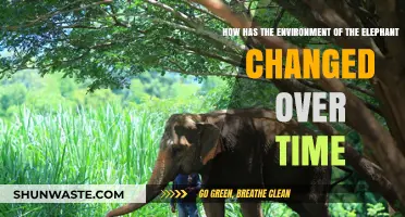Elephant Habitats: A Historical Journey Through Changing Environments