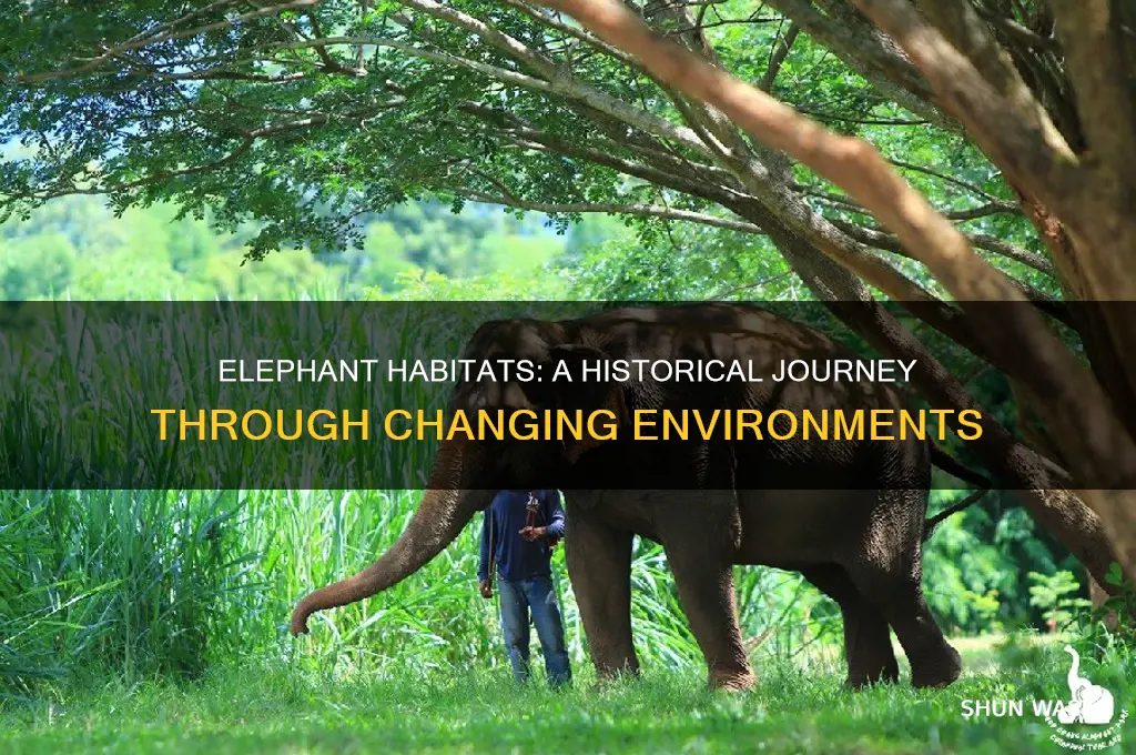 how has the environment of the elephant changed over time