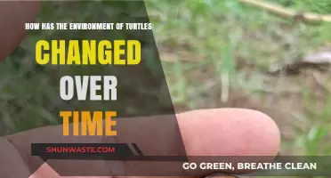 Changing Turtle Habitats: Evolution of Their Environment Over Time