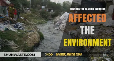 Fashion's Environmental Impact: Trends, Waste, and Sustainable Solutions