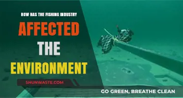 Fishing Industry's Environmental Impact: A Deep Dive into Ecosystem Changes
