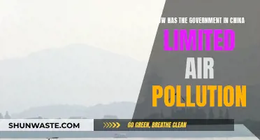China's War on Air Pollution: Strategies and Successes