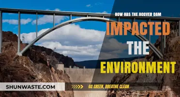 Hoover Dam's Environmental Impact: Benefits, Challenges, and Ecosystem Changes