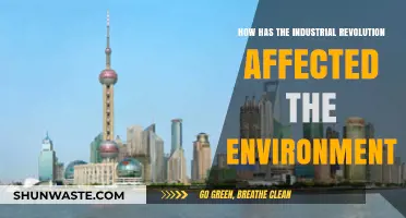 Industrial Revolution's Environmental Impact: A Historical and Ecological Analysis