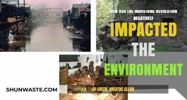 Industrial Revolution's Environmental Toll: Pollution, Deforestation, and Climate Change