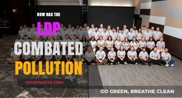LDP's War on Pollution: Strategies and Successes