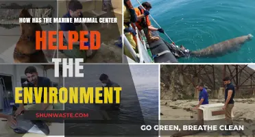 Marine Mammal Center's Impact: Saving Wildlife, Protecting Oceans, and Restoring Ecosystems