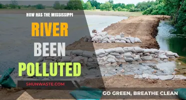 Mississippi River: A History of Pollution and Challenges