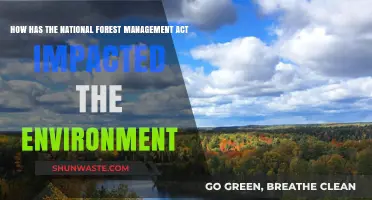 National Forest Management Act: Environmental Impacts and Sustainability Insights