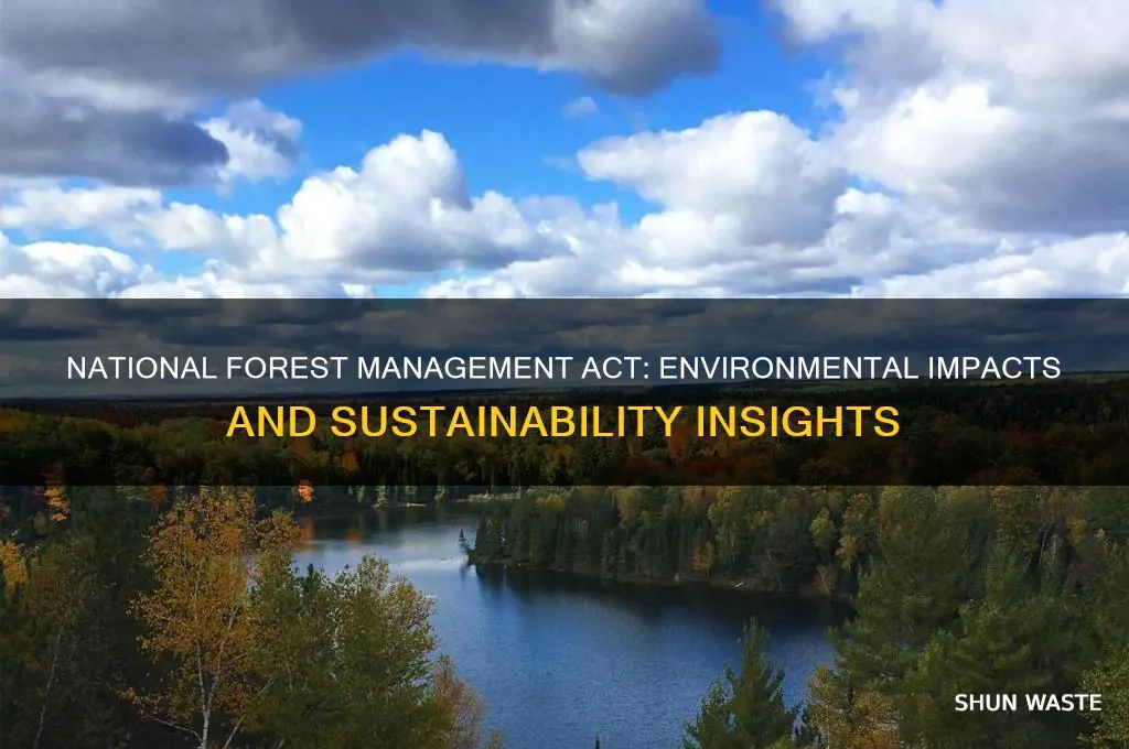 how has the national forest management act impacted the environment