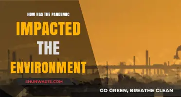 Pandemic's Paradox: Environmental Gains and Losses in a Changed World