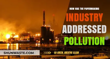 Green Evolution: Paper Industry's Fight Against Pollution