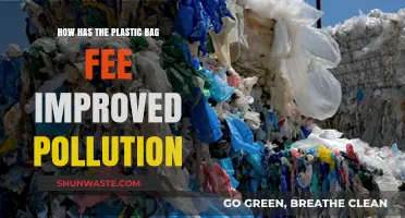 Plastic Bag Fees: Effective Pollution Solution or Not?