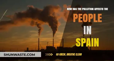 The Impact of Pollution on Spaniards' Health