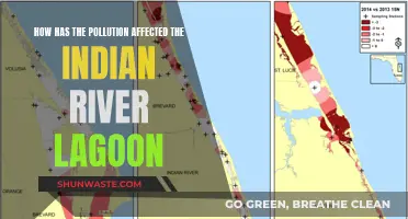 Indian River Lagoon: Pollution's Devastating Impact