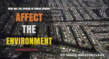 Urban Sprawl's Environmental Impact: Consequences and Sustainable Solutions