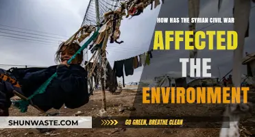 Syrian Civil War's Devastating Environmental Impact: Destruction, Pollution, and Recovery Challenges