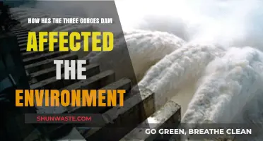 Three Gorges Dam: Environmental Impacts and Ecosystem Changes Explored