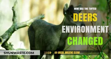 Tufted Deer Habitat: Shifting Landscapes and Environmental Challenges Explored