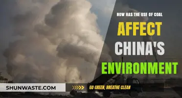Coal's Impact: China's Environmental Challenges and Consequences