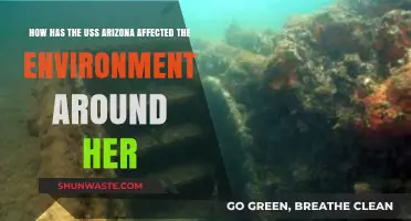 USS Arizona's Environmental Legacy: Impact on Pearl Harbor's Ecosystem