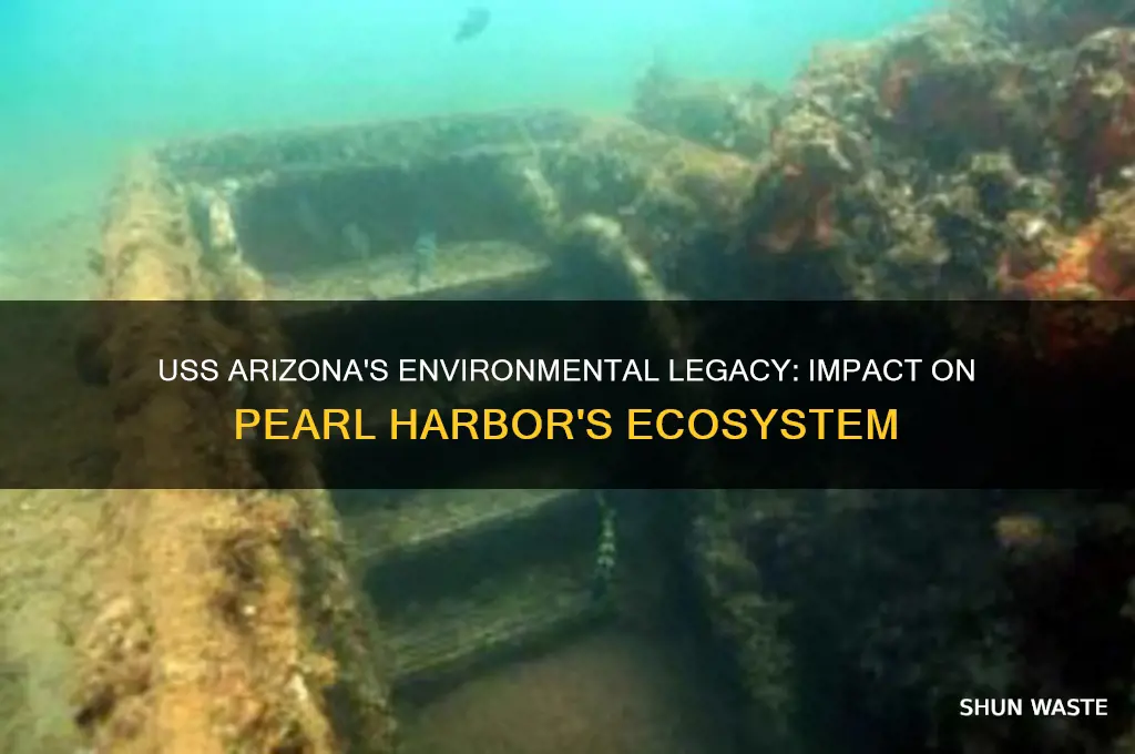 how has the uss arizona affected the environment around her