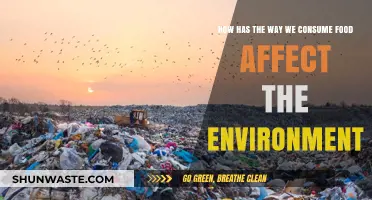Food Consumption Habits: Environmental Impact and Sustainable Eating Solutions