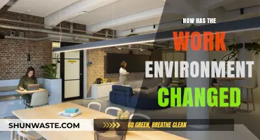 Evolving Workspaces: How the Modern Work Environment Has Transformed