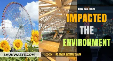 Tokyo's Environmental Footprint: Challenges, Innovations, and Sustainability Efforts