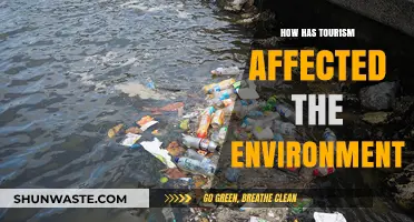 Tourism's Environmental Impact: Challenges and Sustainable Solutions Explored