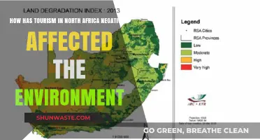 Tourism's Dark Side: Environmental Degradation in North Africa's Fragile Ecosystems