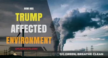 Trump's Environmental Impact: Policies, Rollbacks, and Climate Consequences