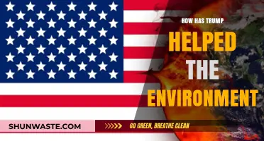 Trump's Environmental Legacy: Surprising Policies and Their Green Impact