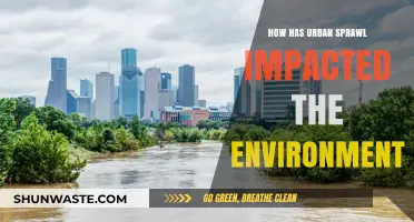 Urban Sprawl's Environmental Toll: Habitat Loss, Pollution, and Climate Change