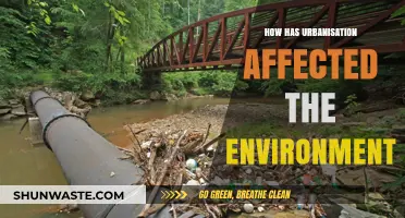 Urbanization's Impact: Environmental Challenges and Sustainable Solutions in Cities