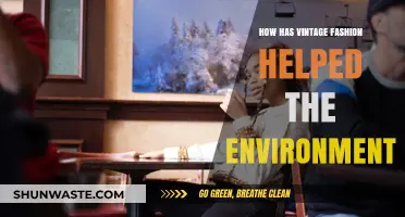 Vintage Fashion's Eco-Impact: Sustainable Style for a Greener Future