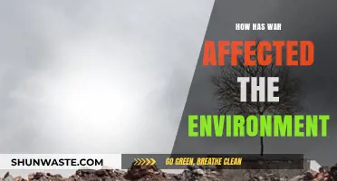 War's Devastating Impact: Environmental Consequences of Armed Conflict