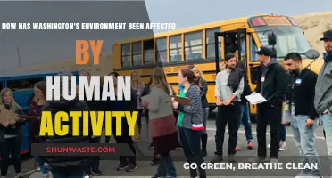 Human Impact on Washington's Environment: Changes, Challenges, and Consequences