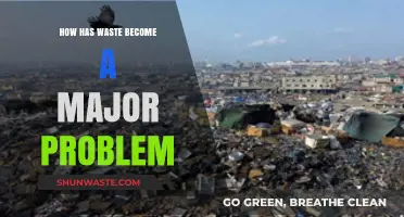 Waste Crisis: How Mismanagement and Consumption Created a Global Problem