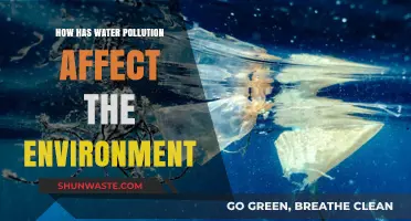 Water Pollution's Devastating Impact on Ecosystems and Environmental Health