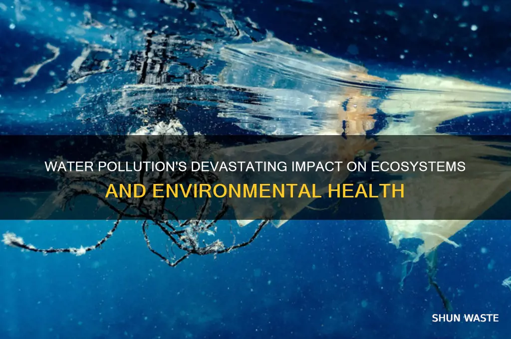 how has water pollution affect the environment