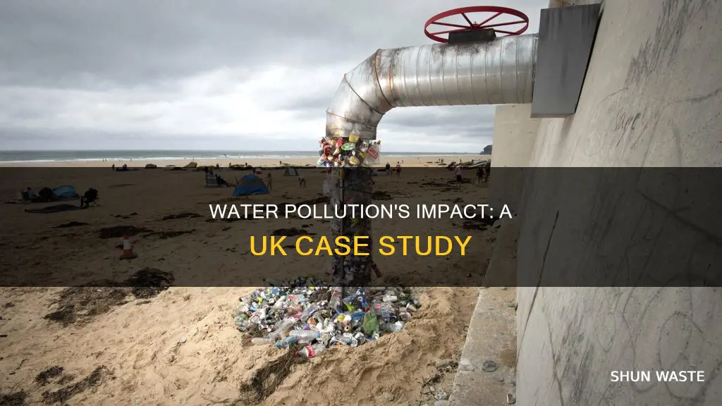 how has water pollution affected the uk