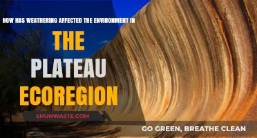 Weathering's Impact on Plateau Ecoregion: Environmental Changes and Effects