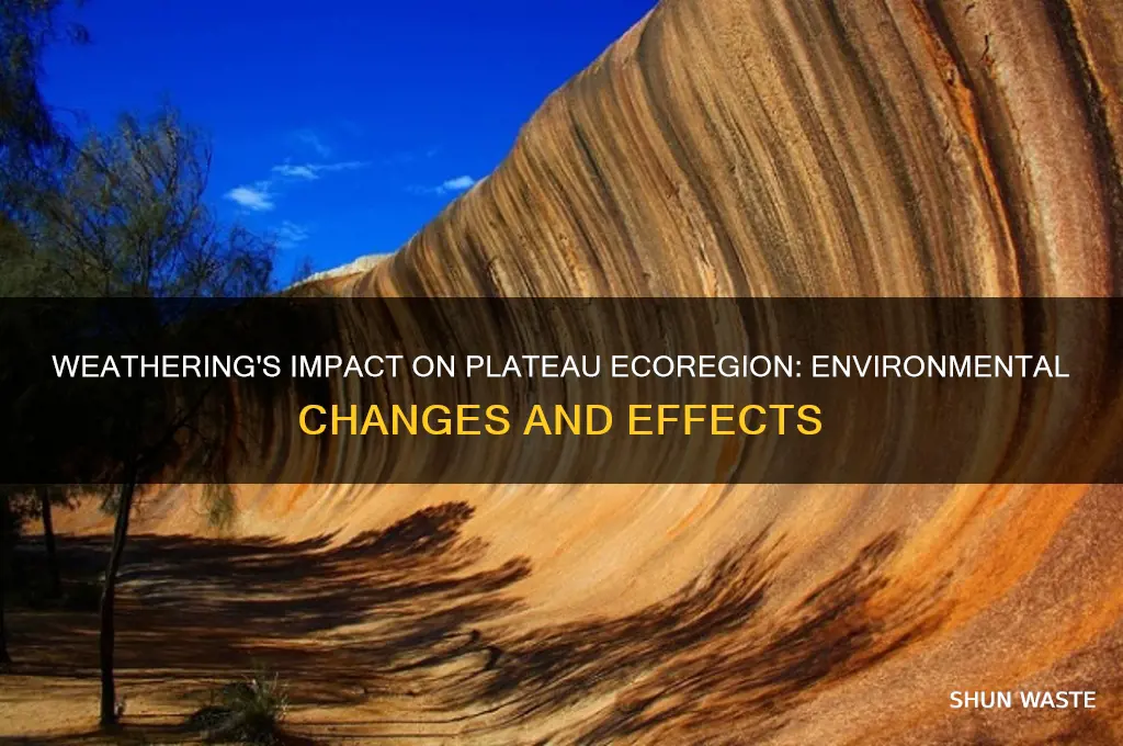 how has weathering affected the environment in the plateau ecoregion
