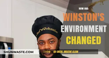 Winston's Evolving World: Exploring Shifts in His Surroundings and Life