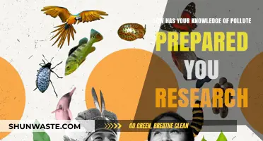 Pollution Preparedness: Researching for a Better Future