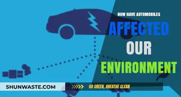 Automobiles' Environmental Impact: Pollution, Climate Change, and Sustainable Solutions